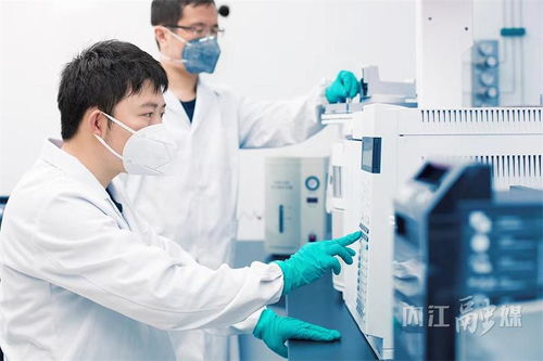 甜城舌尖守護者——解碼內(nèi)江食品藥品安全與檢驗檢測服務(wù)